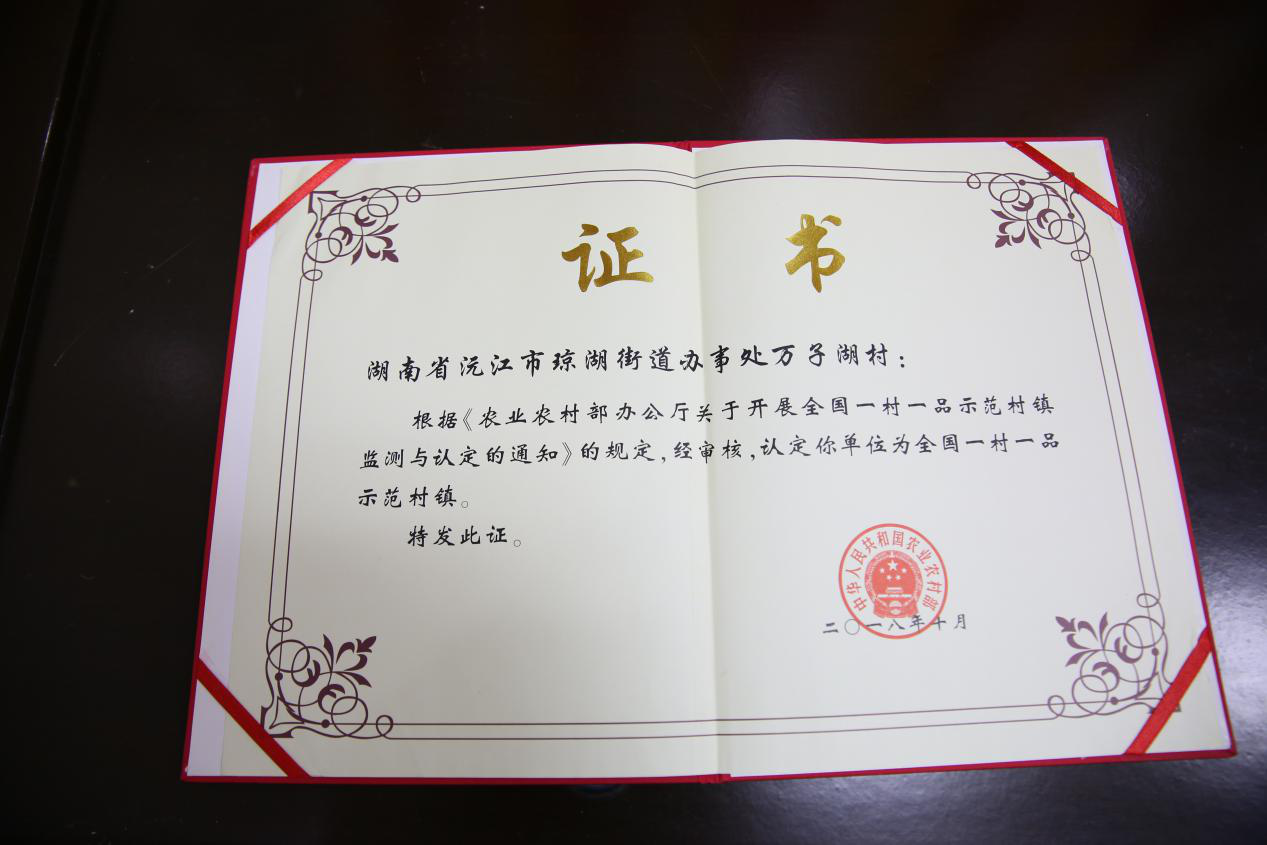 图片11.png