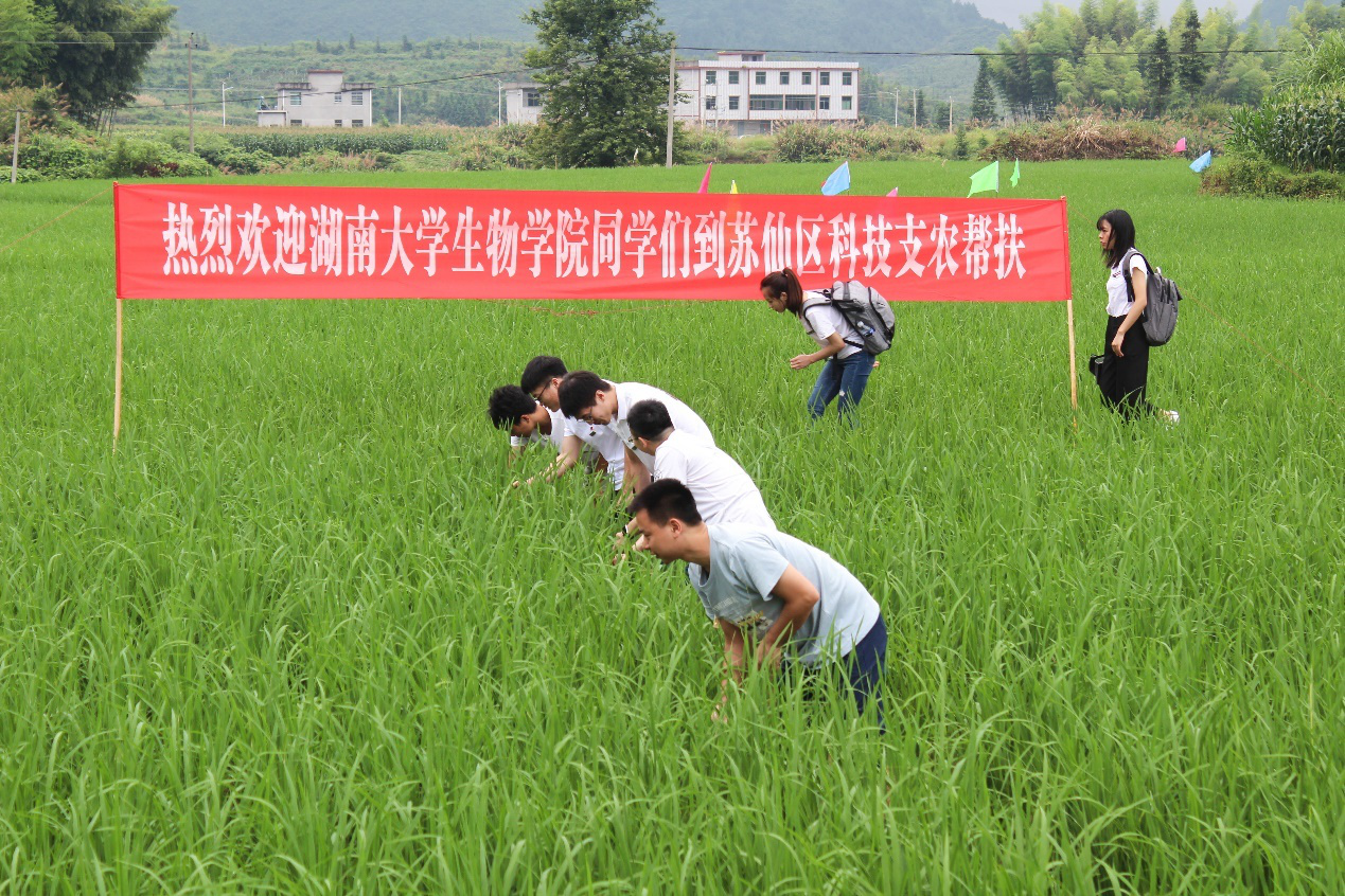 图片11.png