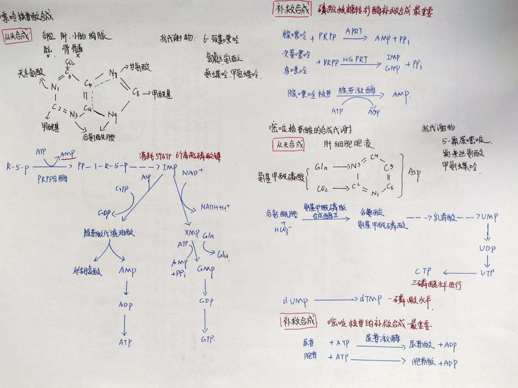 15048